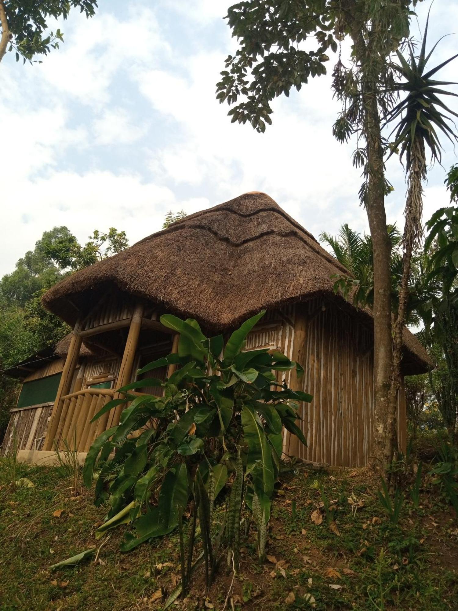 Dave The Cave Eco Lodge And Cultural Campsite Rubirizi Exterior photo